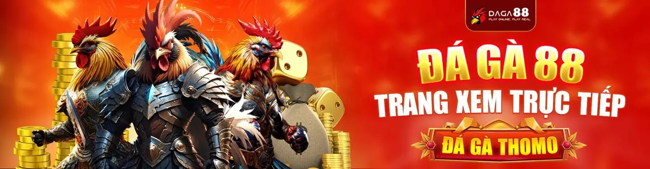 Cận cảnh trận đấu đá gà kịch tính tại gi8 win